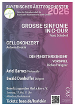 Plakat Cellokonzert 2026